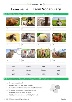 Farm Animal Vocabulary