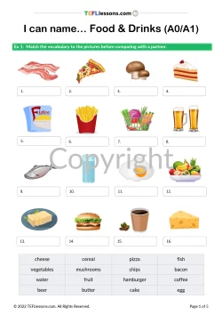 Animal Products Vocabulary - TEFL Lessons  | ESL worksheets