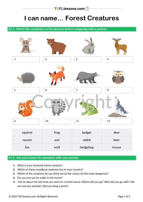 Forest Animals Vocabulary - TEFL Lessons  | ESL worksheets