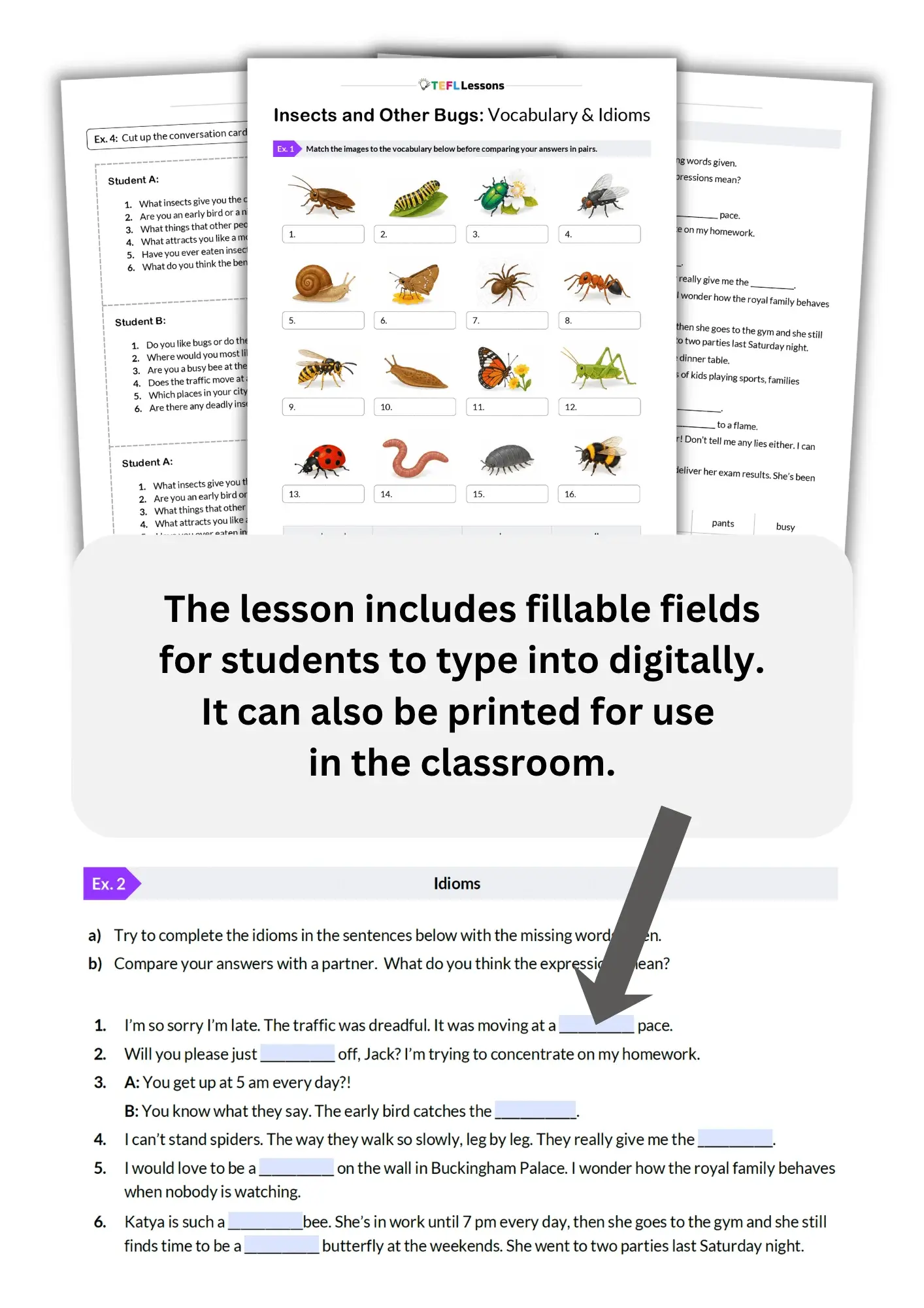 Insect Vocabulary & Idioms - Image 2