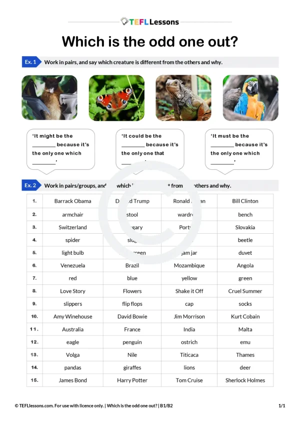 Relative Clauses Speaking Activity – odd one out task using defining relative clauses and modal verbs of probability.