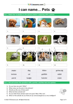 Pets Vocabulary Lesson