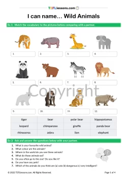 wid animals Archives - TEFL Lessons 