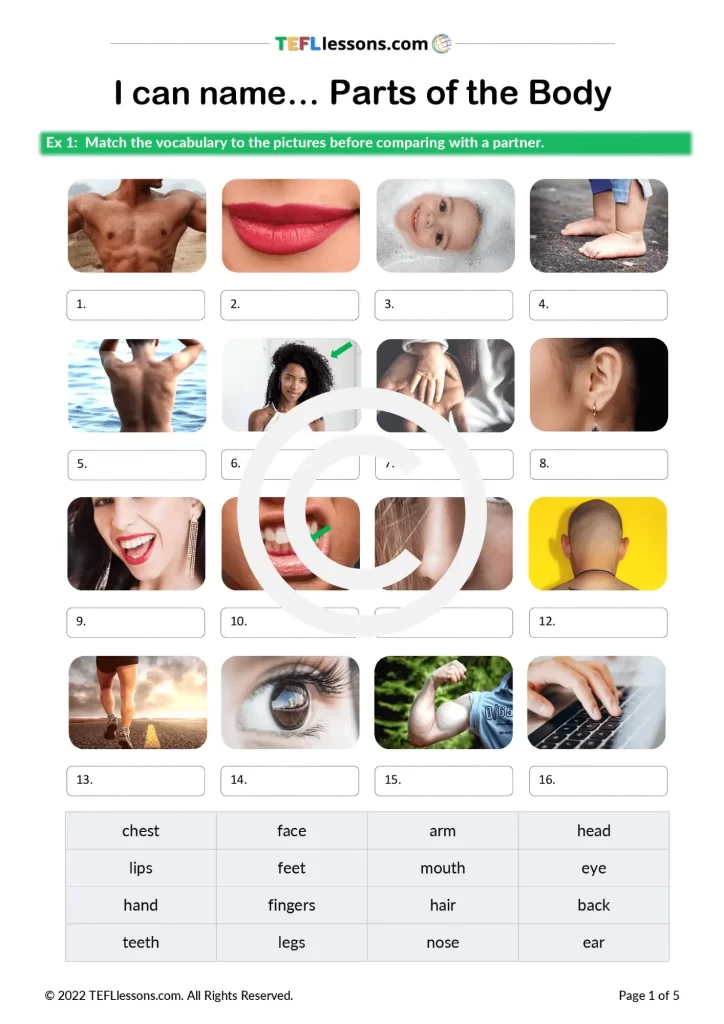 Guide To Body Language English Esl Worksheets For