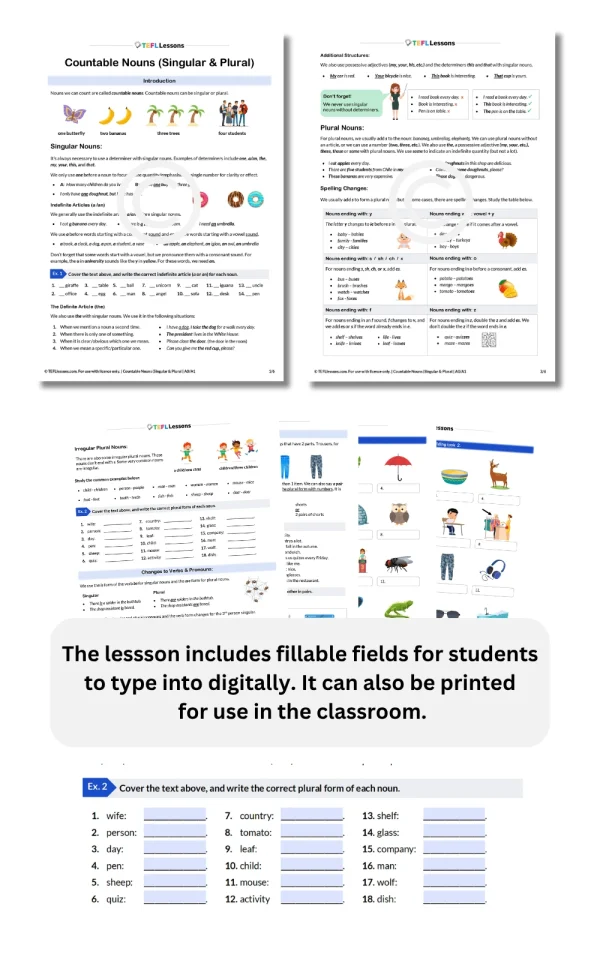 All pages of the Countable Nouns lesson plan displayed in a fan, highlighting fillable fields and interactive exercises for beginner ESL learners.