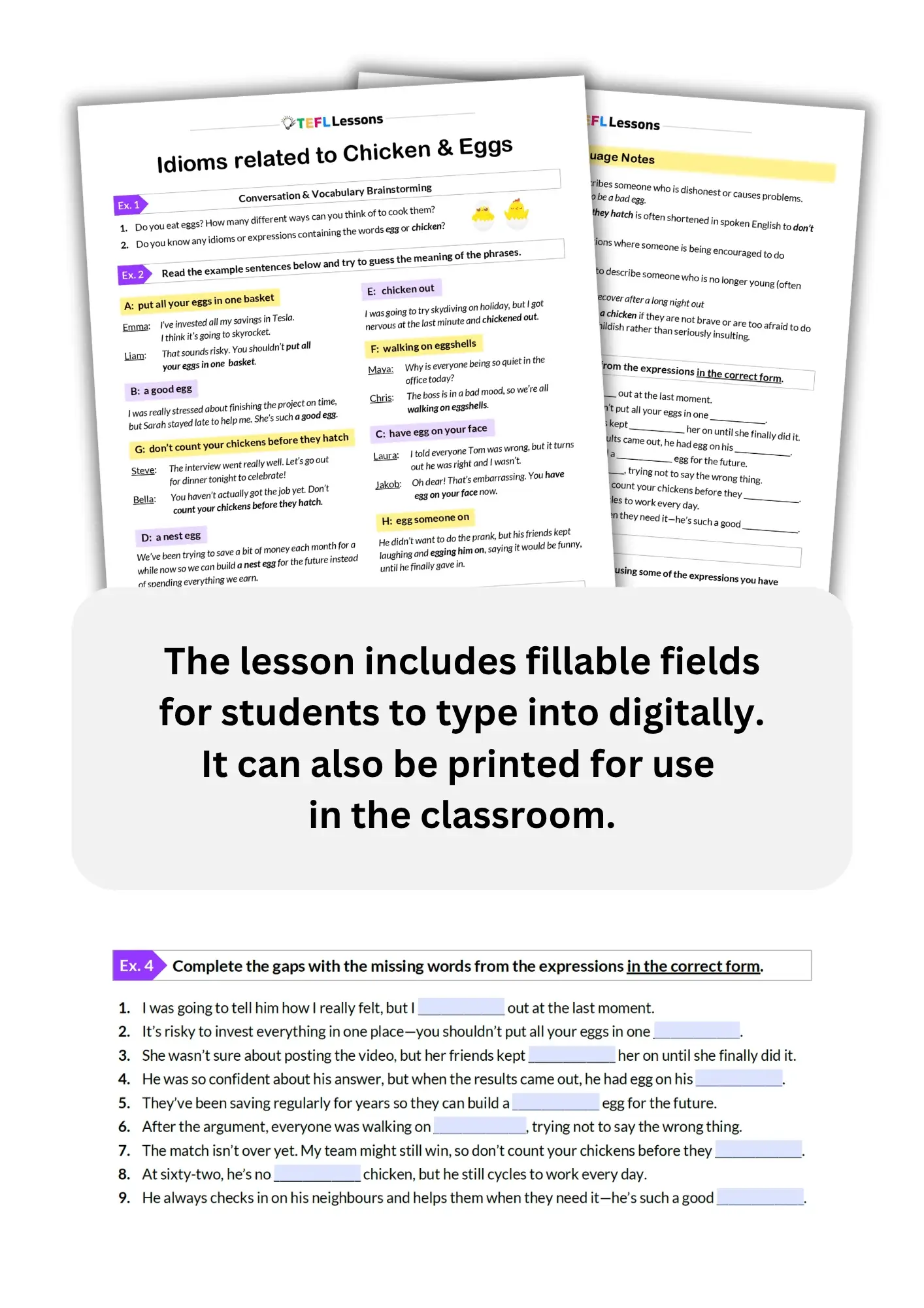 Chicken & Egg Idioms - Image 2