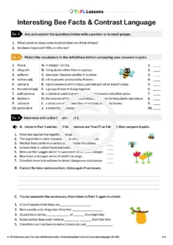 Interesting Bee Facts & Contrast Language