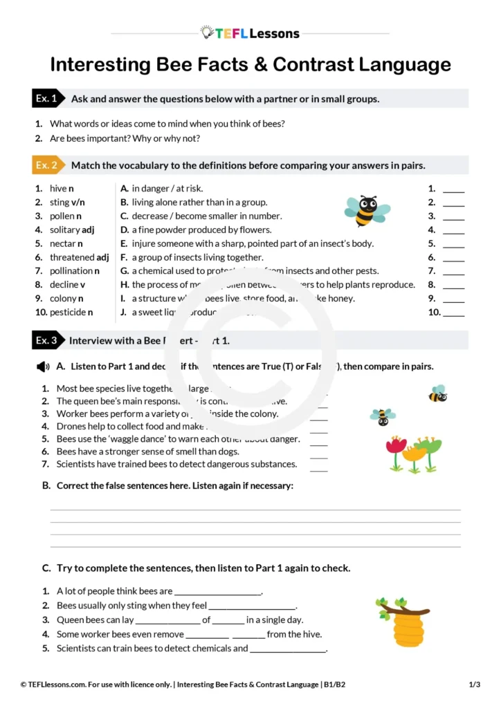 Bees ESL Lesson | Bee Facts & Contrast Language Practice - TEFL Lessons ...